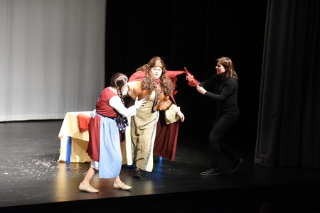 Sivilja in skarjice 26